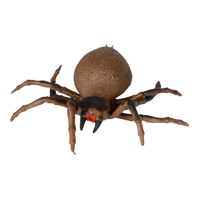 Spindel verklighetstrogen