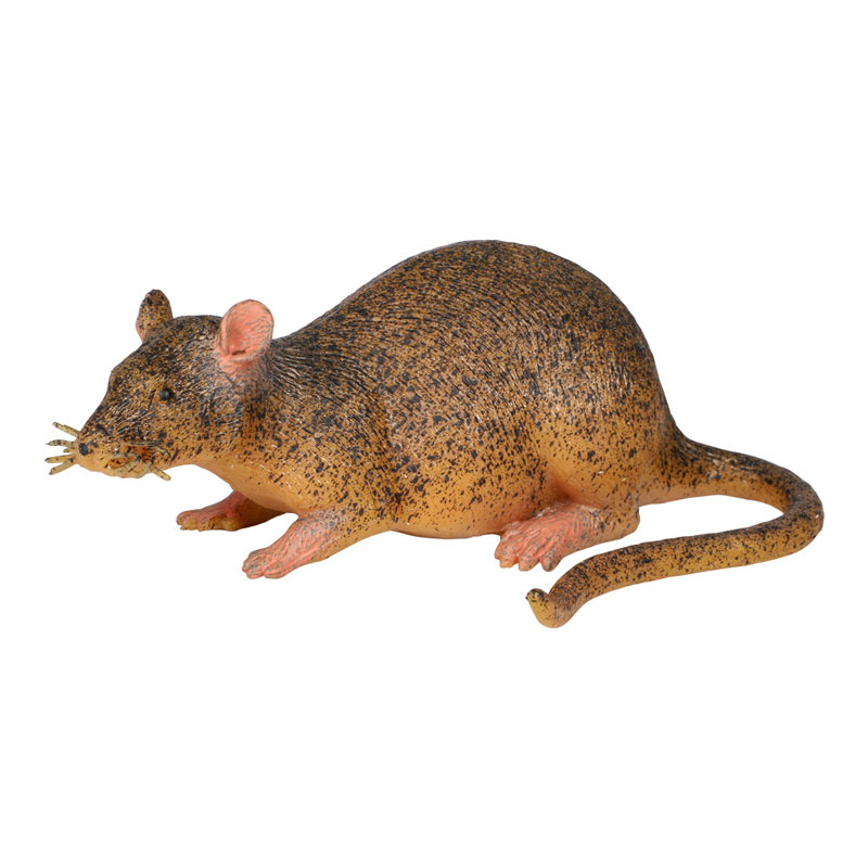 Råtta verklighetstrogen