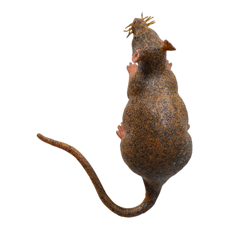 Råtta verklighetstrogen