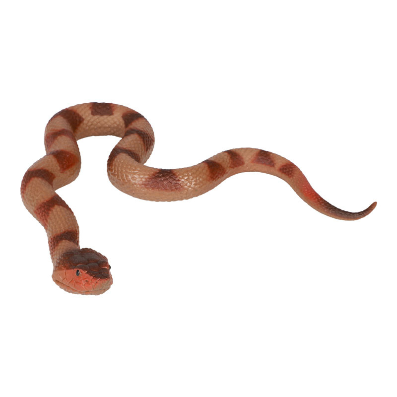 Orm verklighetstrogen