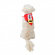 Hundscarf Santa Hundscarf Santa