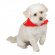 Hundscarf Santa Hundscarf Santa