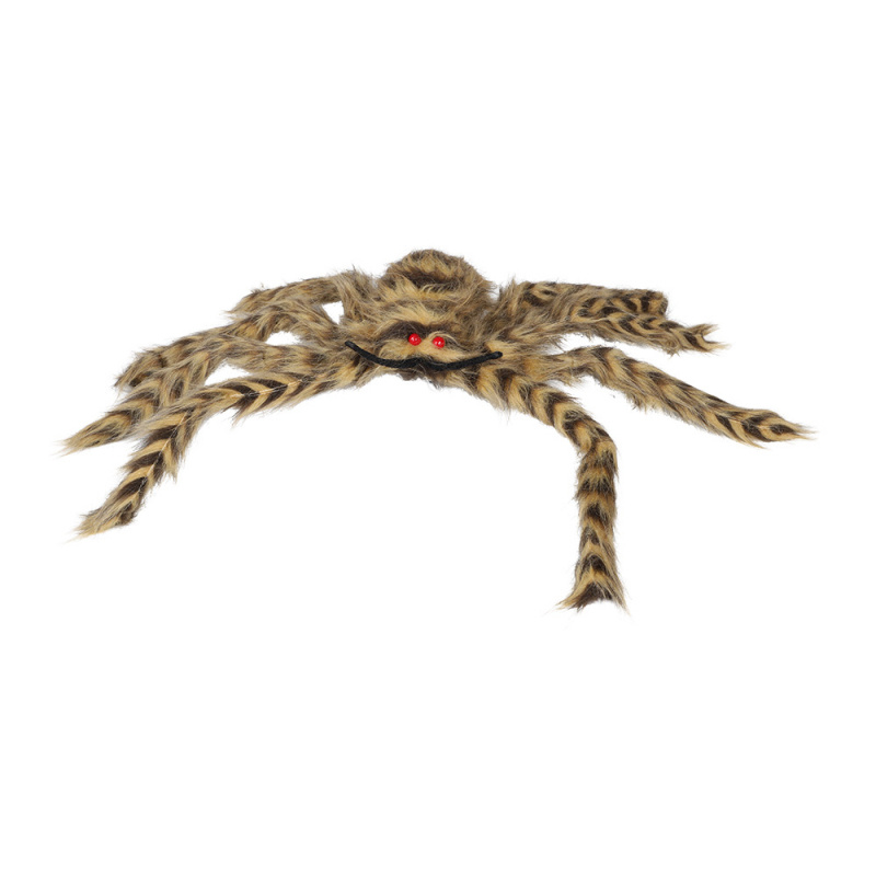 Jättespindel Hårig