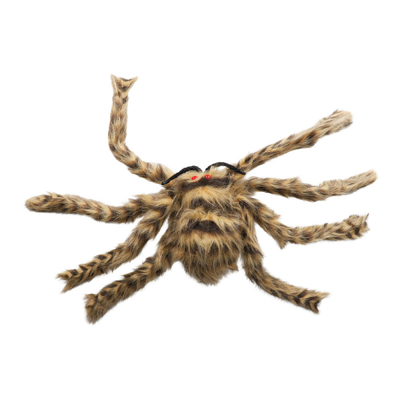 Jättespindel Hårig