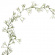 Slöjblomma/Gypsophila blomgirlang Slöjblomma/Gypsophila blomgirlang