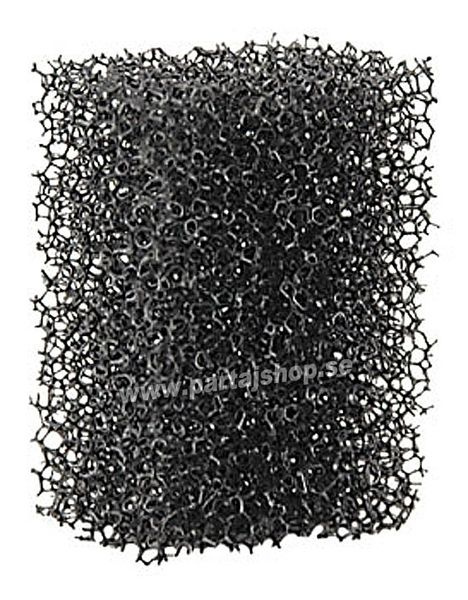 Skäggstubbs-svamp finmönstrad