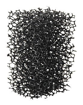 Skäggstubbs-svamp Grovmönstrad