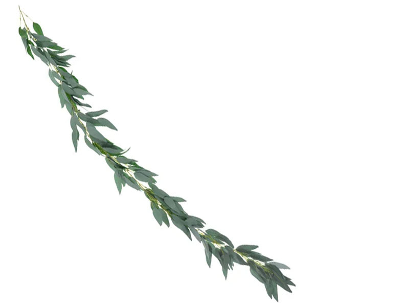 Eucalyptus girlang 2m