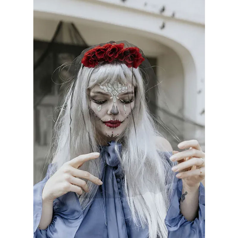 Ansiktsstenar Beauty