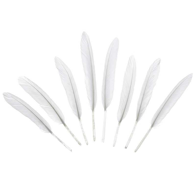 Fjädrar Vita