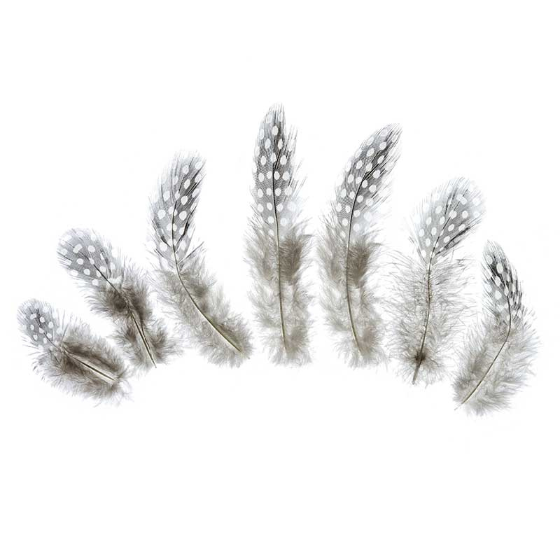 Fjädrar naturfärgade