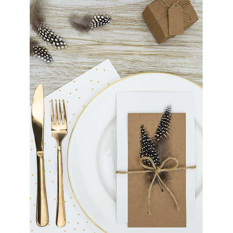 Fjädrar naturfärgade