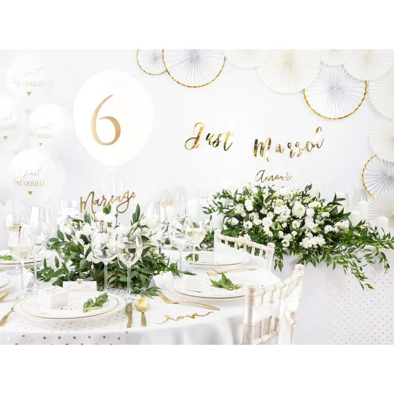 Solfjädrar Off White