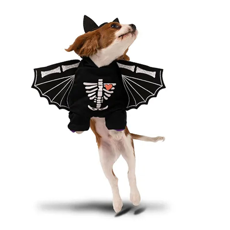 Fladdermus Hunddräkt 