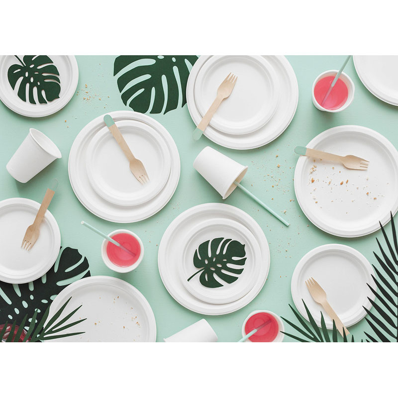 Assietter Miljövänlig 6-pack