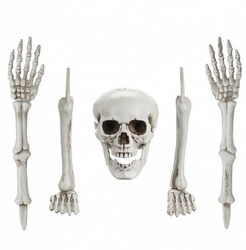 Skelett dekoration